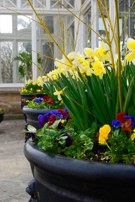a large planter near the entrance to the coservatory in Allan Gardens, Toronto