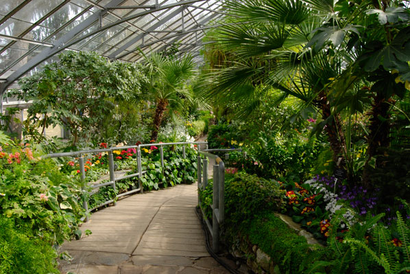 a walkway curves between flower beds inside the conservatory in Allan Gardens, Toronto