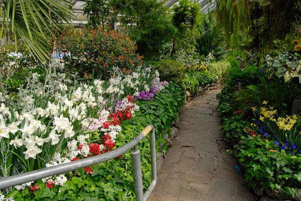 a path winds among colourful flower beds in the Allan Gardens Conservatory, Toronto