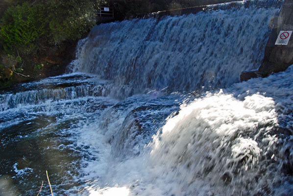 the Belfountain Conservation Area waterfall seen from a lower level