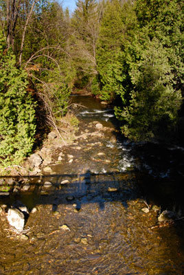 a view of the river from the suspension bridge