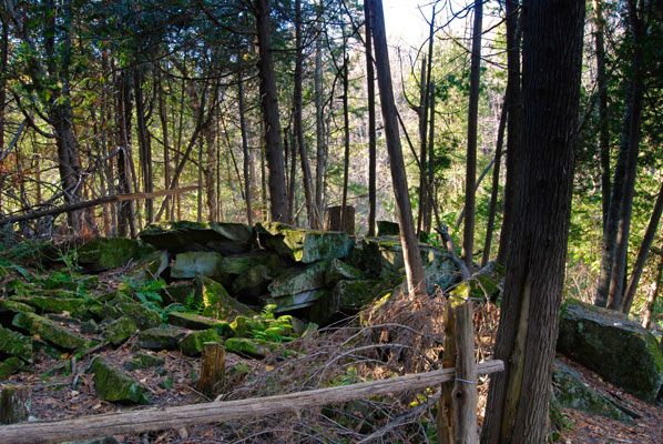 moss and lichen covered rocks beside the trail