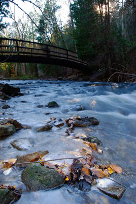 looking upstream towards the lower bridge
