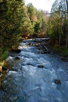 a view of rapids