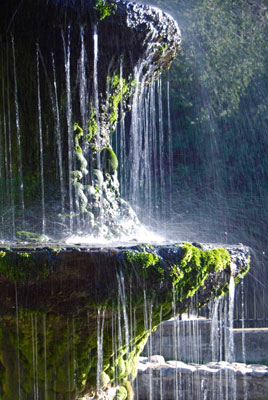 sunlit moss on the fountain