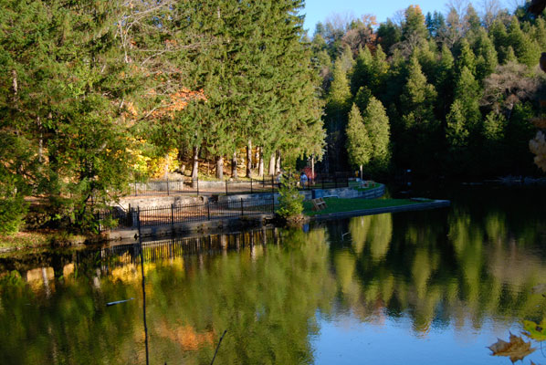 the pond reflects sunlit trees and blue sky at Belfountain Conservation Area