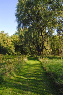 riverbank