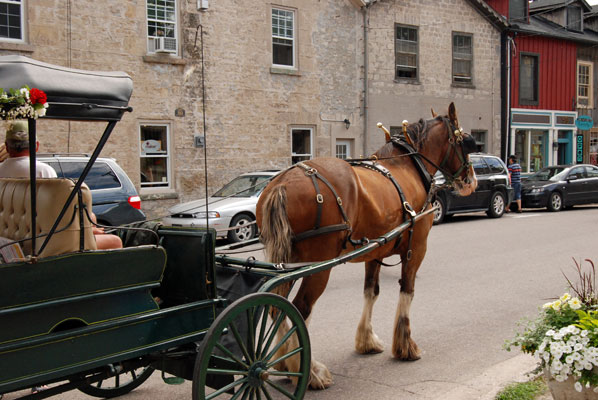 a horse drawn carriage on a street in Elora