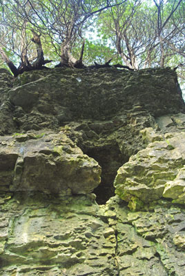 a small cave in the rock of the gorge cliff