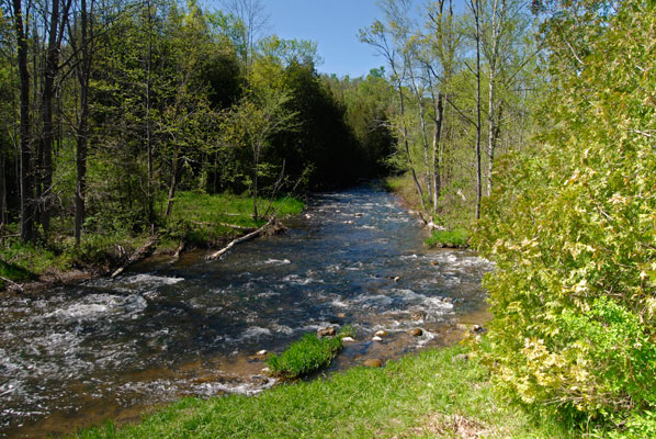a view of the Credit River