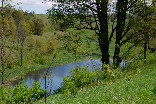 looking down a hillside towards a pond