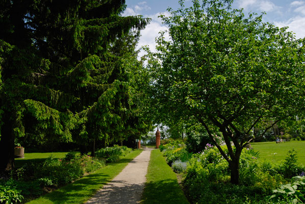 view down a path with perennial borders