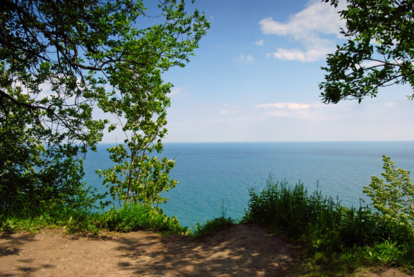 a view of the lake from Guild Park and Gardens in Scarborough
