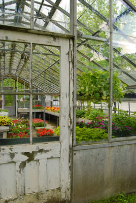 a glimpse through the door of a greenhouse at Guild Park and Gardens