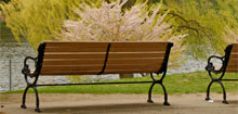 benches overlooking the pond in Toronto's High Park