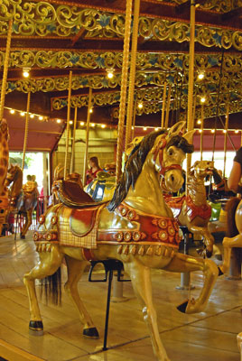a horse on the carousel