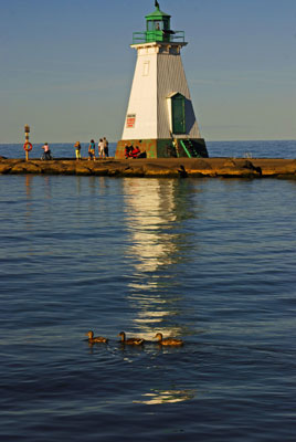 three ducks swim across the reflection of the outer lighthouse in Port Dalhousie