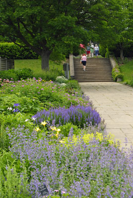 a view along a path with beds of perennials