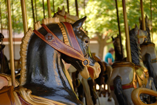 close up of horse’s head on the antique carousel